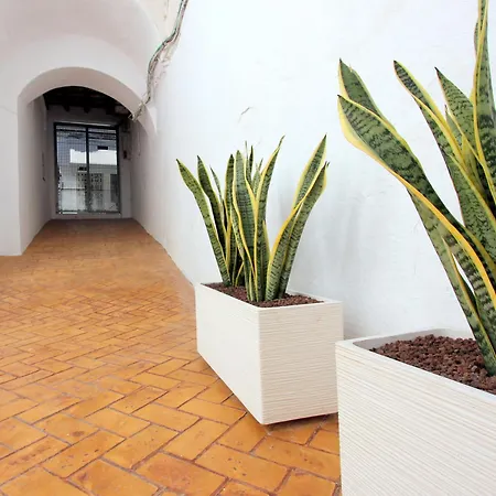 Apartment Conil10